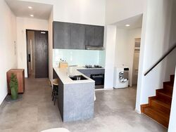 Loft @ Rangoon (D8), Apartment #595866761